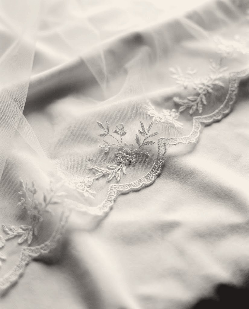 Concept image: ivory tulle with a scalloped, lightly embroidered lace edge